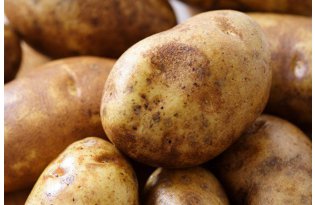 Minimal Improvement in Potato Prices, But the Situation Remains Dire