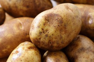 Minimal Improvement in Potato Prices, But the Situation Remains Dire