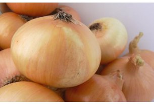 Netherlands – Quality Issues Drive Up Onion Prices