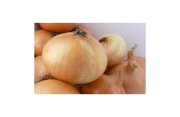 Netherlands – Scorching Weather Boosts Onion Prices