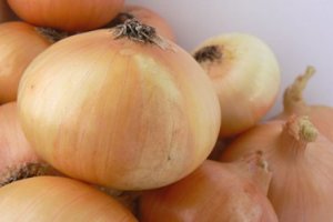 Netherlands – Scorching Weather Boosts Onion Prices