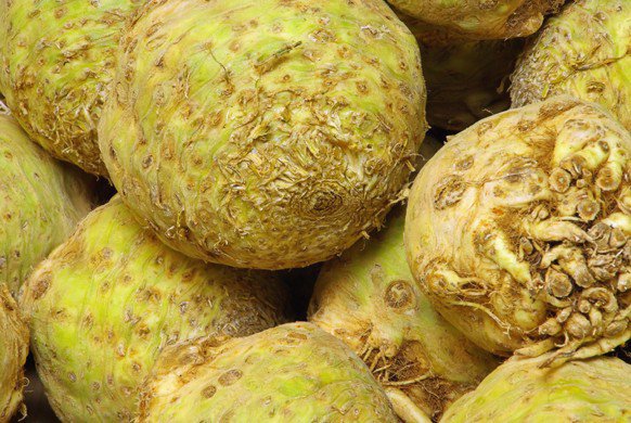New Season Celery Approaching Peak Wholesale Activity