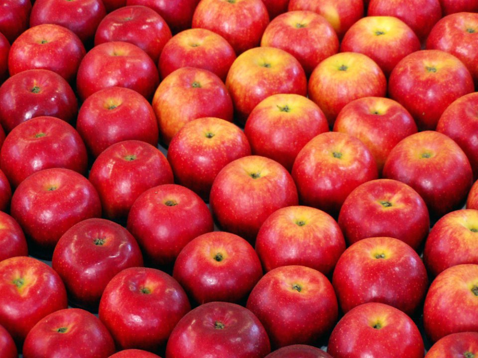 No Shortage of 'Old' Apples, But What About Their Prices?