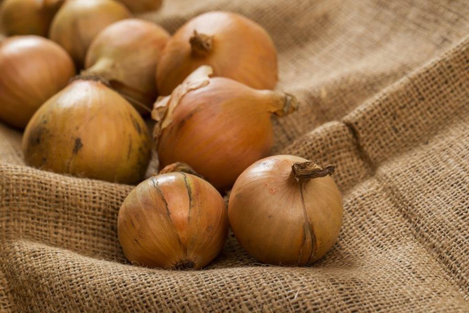 Old Onions Still Weighing on the Market and Prices