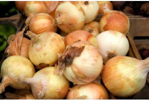 Onion Starts the Regular Season Cheaper Than Last Year