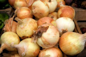 Onion Starts the Regular Season Cheaper Than Last Year
