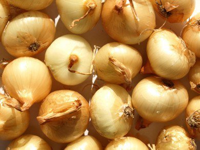 Onions – Catastrophic Situation in Processing Drags Down the Entire Market