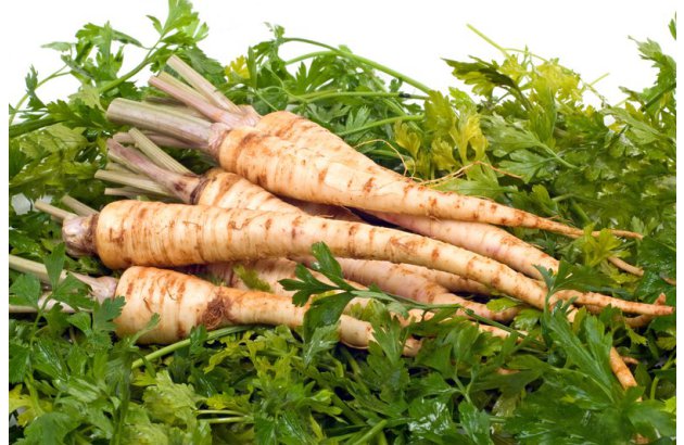 Parsley Starts August with Low Prices