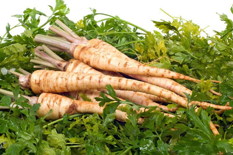 Parsley Starts August with Low Prices