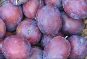 Plums Still Without a Clear Increase in Supply