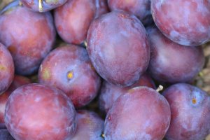 Plums Still Without a Clear Increase in Supply