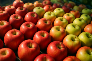 Poland: Apple Prices Drop as Stocks Remain High, Demand Weakens