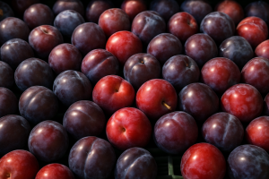 Polish Plum Prices Fall Amid Balkan Import Pressure