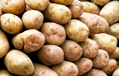 Potatoes See No Improvement, but Again Face Greater Pressure