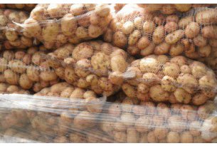 Prices of New Potatoes Below Average, But…