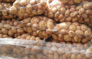 Prices of New Potatoes Below Average, But…