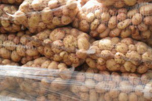 Prices of New Potatoes Below Average, But…