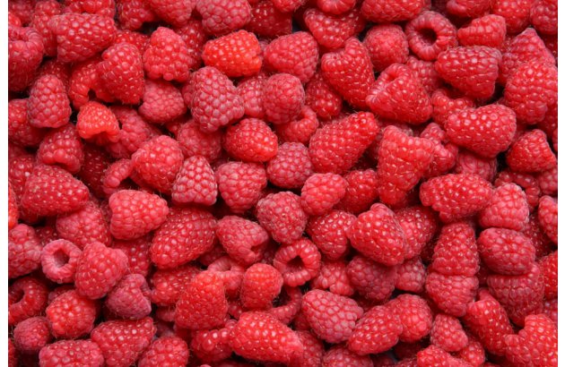 Raspberries at Processing Plants – Are Prices Going Down?