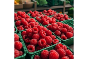 Raspberries: Weather Limits Supply, and Quality Will Become the Key Market Filter