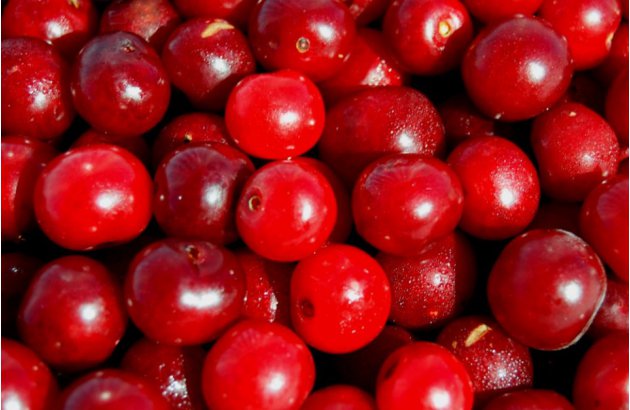 Sour Cherry Purchase Prices Also Rise, But…