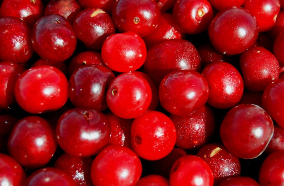 Sour Cherry Purchase Prices Also Rise, But…