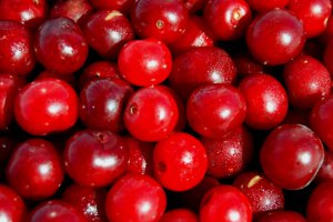 Sour Cherry Purchase Prices Also Rise, But…