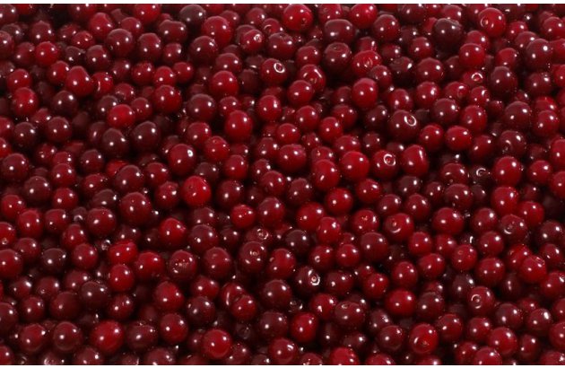 Sour Cherry Purchase Prices Rebound, But…