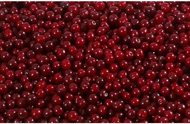 Sour Cherry Purchasing Season Comes to an End