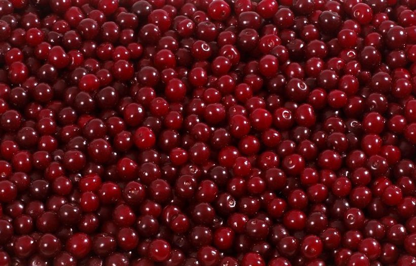 Sour Cherry Purchasing Season Comes to an End