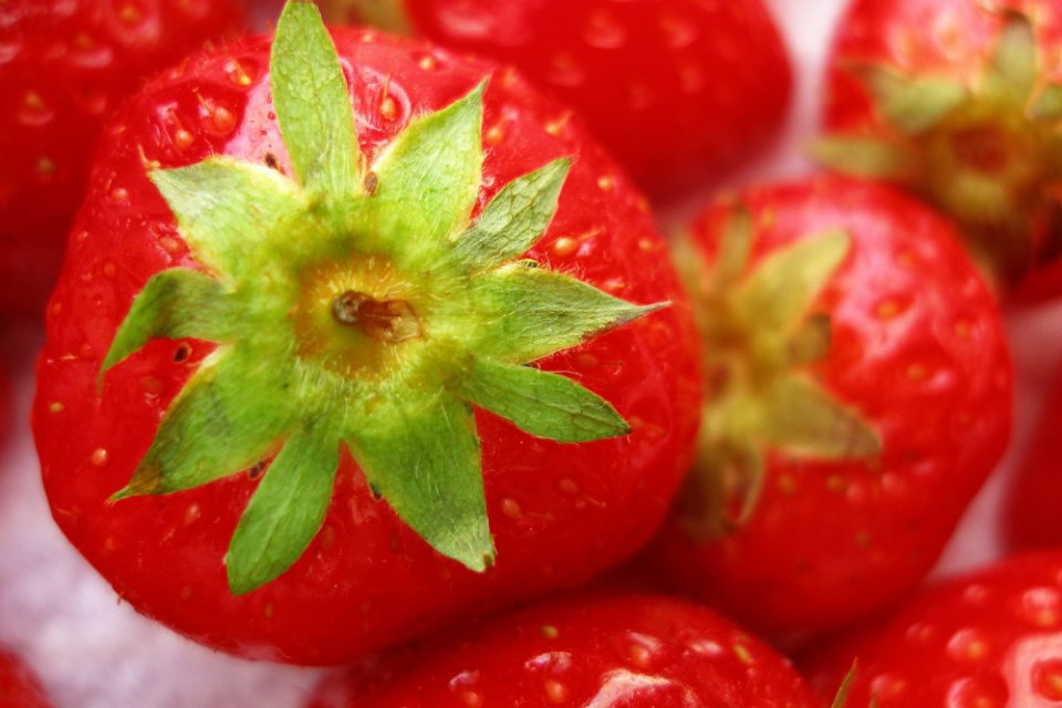 Strawberries – Major Quality Issues, and What About Prices?