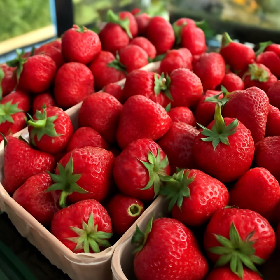 Strawberries: Shorter Season and Decline in Supply of Dessert-Quality Fruit