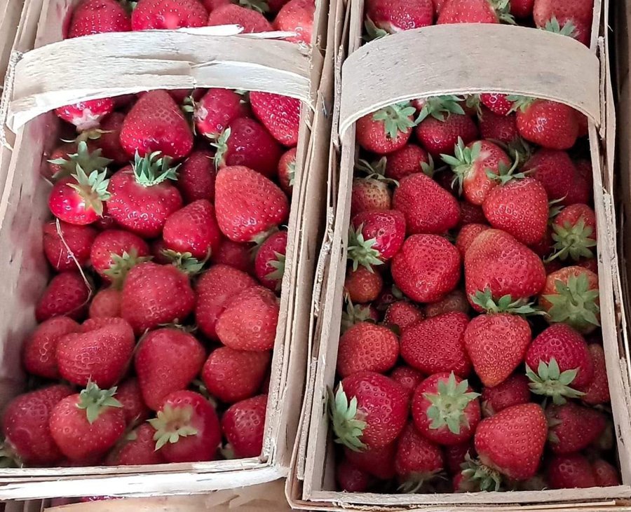 Strawberry Processing Prices at the Peak of the Season