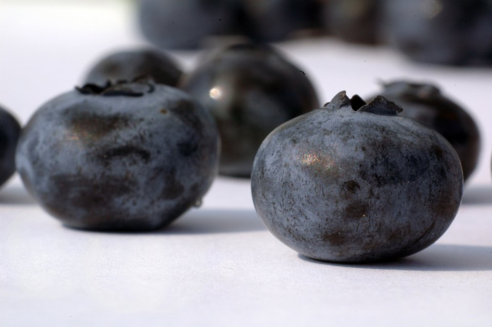 Supply of Domestic Blueberries Is Increasing, But…