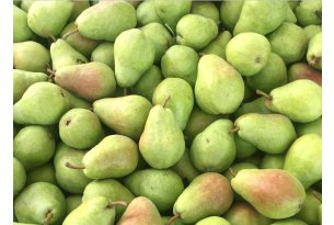 The New Season of Domestic Dessert Pears Begins