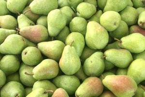 The New Season of Domestic Dessert Pears Begins