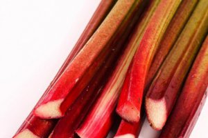 The Second Phase of Rhubarb Procurement Season Begins