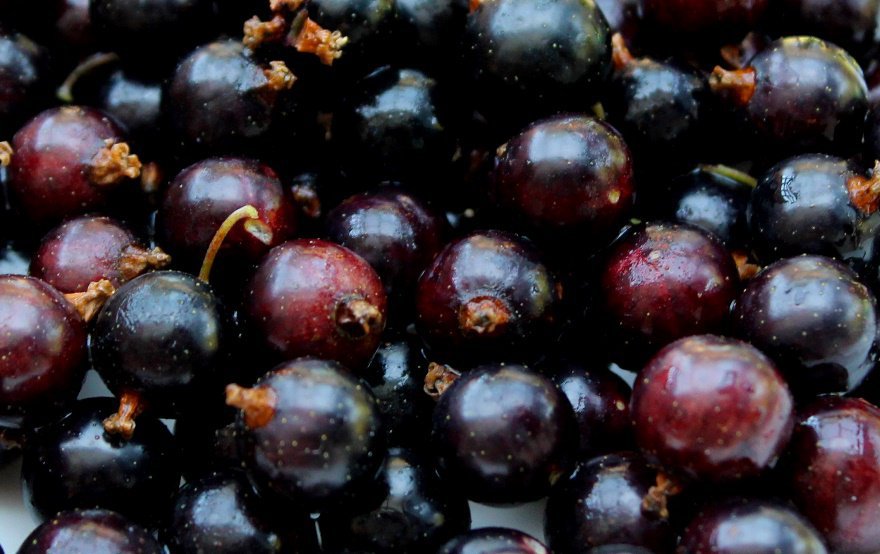 There Are Still Buyers for Currants, But…