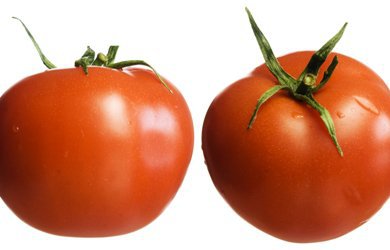 Tomatoes Remain at Their Lowest Prices in Five Years