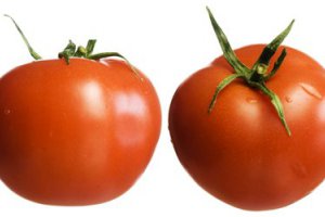 Tomatoes Remain at Their Lowest Prices in Five Years