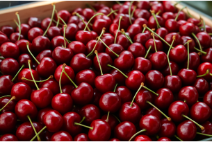 Warsaw and Bronisze: Cherry Prices Under Import Pressure, Wide Range €2.3–5.8/kg