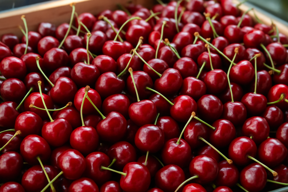 Warsaw and Bronisze: Cherry Prices Under Import Pressure, Wide Range €2.3–5.8/kg