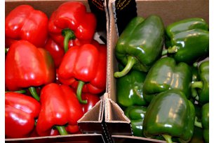 Weather Has Led to Increased Pepper Supply