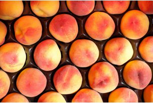 What Are the Current Prices of Peaches, Nectarines, and Apricots?