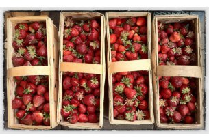What Is Happening with Industrial Strawberry Purchase Prices?