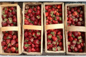 What Is Happening with Industrial Strawberry Purchase Prices?