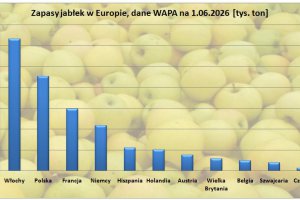 What Were Apple Stocks in Europe in June, and in Poland (WAPA)?