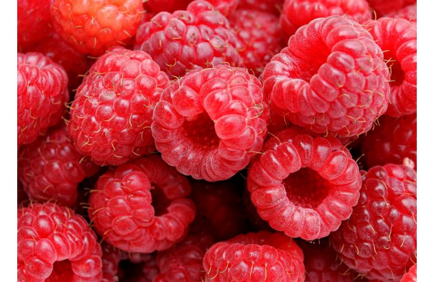 Which Direction Will Industrial Raspberry Prices Take in the Second Half of the Season?