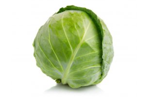 White cabbage starts August with poor prices