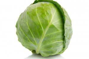 White cabbage starts August with poor prices