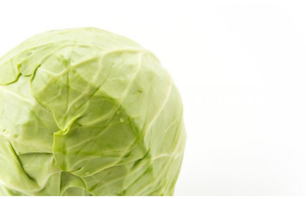 White cabbage with no prospects for better prices